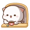 MOCHIS CAT Extra"S" MOV 11