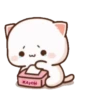 MOCHIS CAT Extra"S" MOV 12