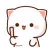 MOCHIS CAT Extra"S" MOV 13