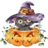 Calabazas 8