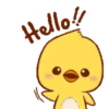 Hello 13