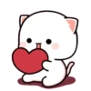 MOCHIS CAT Extra"T" MOV 6