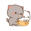 MOCHIS CAT Extra"S" MOV 14