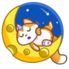 A Unicorn Cat ️Nazaralnazrii ️ 8