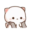 MOCHIS CAT Extra"S" MOV 15