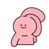 PINK&VEN 20