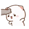 MOCHIS CAT Extra"S" MOV 17