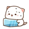 MOCHIS CAT Extra"T" MOV 15