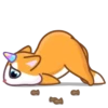 A Unicorn Cat ️Nazaralnazrii ️ 9