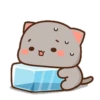 MOCHIS CAT Extra"T" MOV 16