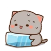 MOCHIS CAT Extra"T" MOV 17