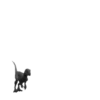 Dinosaurios   Mov.1712 23