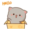 Hello 22