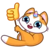 A Unicorn Cat ️Nazaralnazrii ️ 14