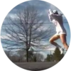 Shuffle Dance - 12 Mov.1712 27