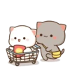 MOCHIS CAT Extra"T" MOV 24