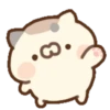 Miaucitos 5