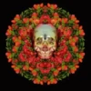 Dia dos Mortos 1 5