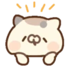 Miaucitos 6