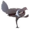 Gallina Italiana 5