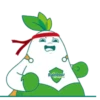 Mr. Rainbow Agro 2 8