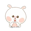 Tai Nim rabbit MOV 5