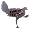 Gallina Italiana 6