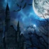Halloween ✺2 13