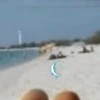 ZOOM 1 14
