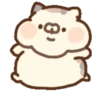Miaucitos 10