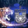 TIGRES DE UANL MOV 9