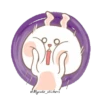 Tai Nim rabbit MOV 11
