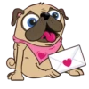 I LOVE   PUG    2  (MOV) 9