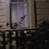 Halloween 1978 14