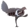 Gallina Italiana 17