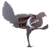 Gallina Italiana 18