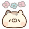Miaucitos 16