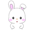 Rabbit popping out 14