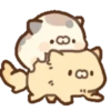Miaucitos 17