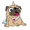 I LOVE   PUG    2  (MOV) 11