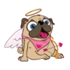 I LOVE   PUG    2  (MOV) 12