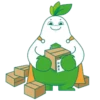 Mr. Rainbow Agro 2 24