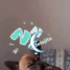 ZOOM 1 23