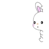 Rabbit popping out 19