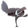 Gallina Italiana 23
