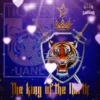 TIGRES DE UANL MOV 25