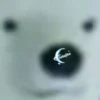 ZOOM 1 26