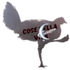 Gallina Italiana 27