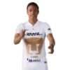 ⚽️ Pumas De La UNAM🇲🇽 24