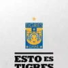 TIGRES DE UANL MOV 26